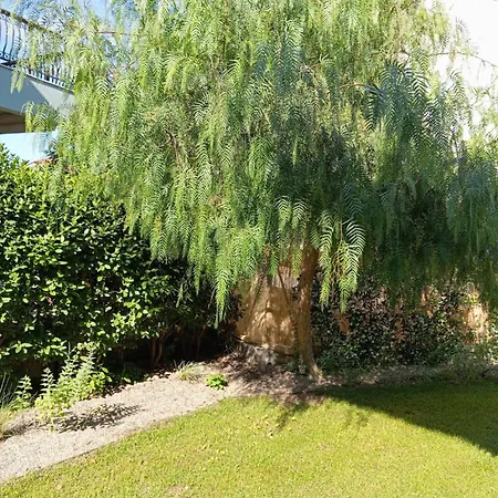 Nikos House Nikiti (Sithonia)