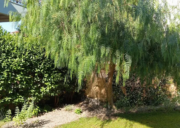 Nikos House Nikiti (Sithonia)